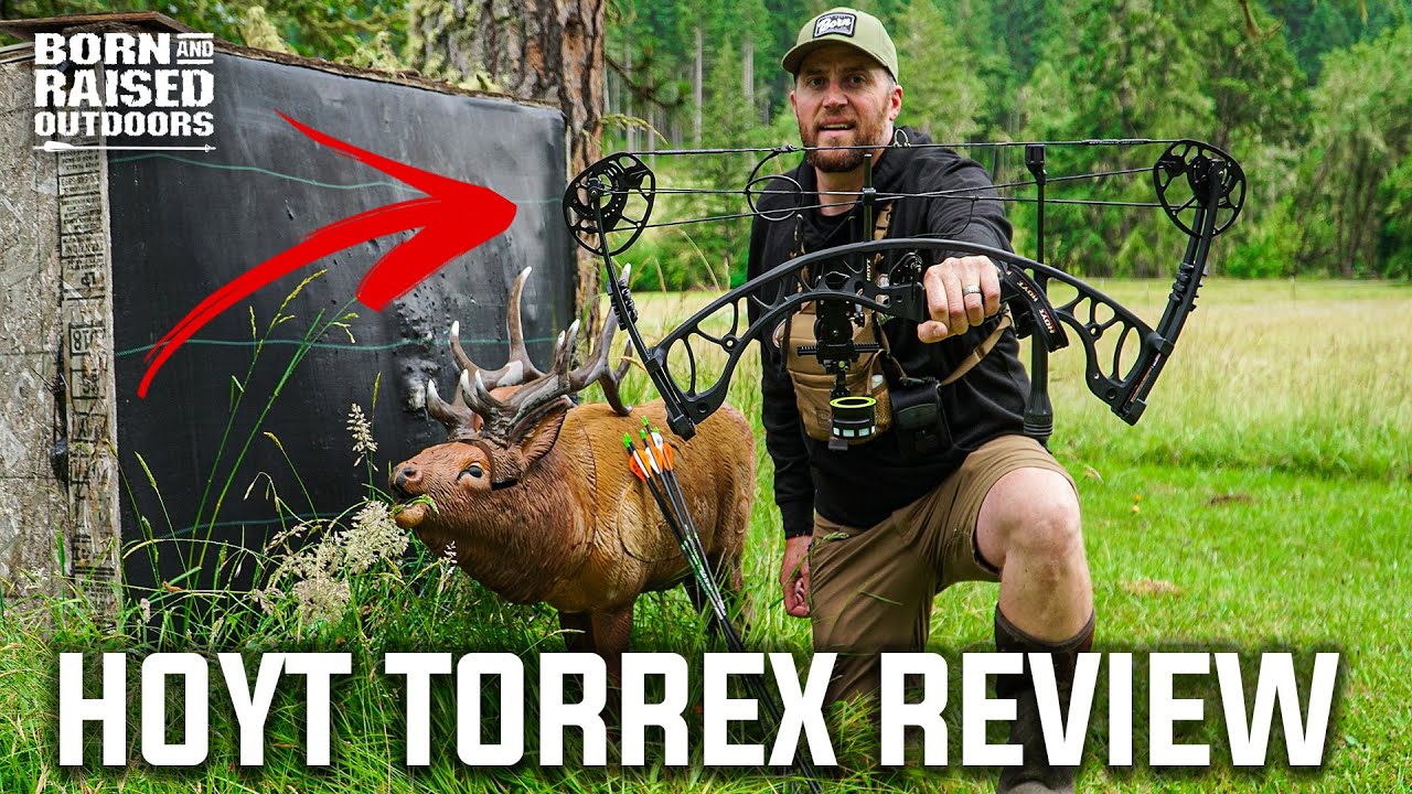 Best Budget Bow for ELK HUNTING (HOYT TORREX)