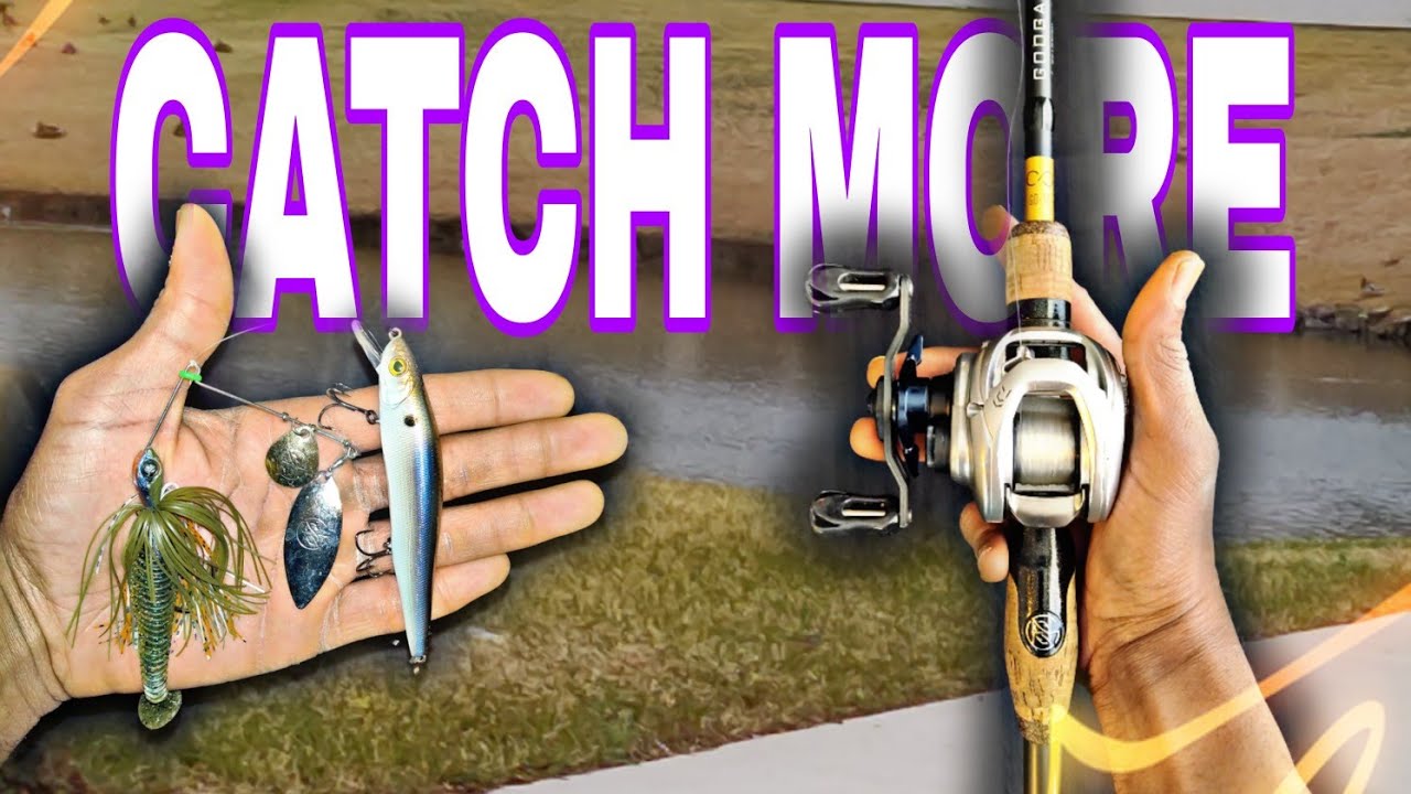 Find and Catch more, Pre-Spawn Bass