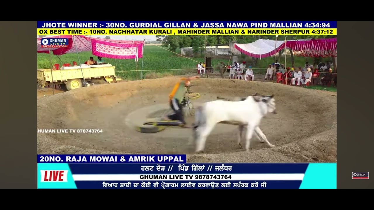 ਦੂਜਾ ਨੰਬਰ.#halt #race# pind #gillan 🙏🏼🙏🏼🙏🏼🙏🏼