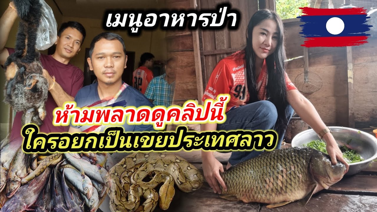 🇱🇦#สาวลาว ใครอยากเป็นเขยลาว ดูคลิปนี้ วิถีการดำเนินชีวิตกับสูตรเมนูอาหารป่าสุดแปลก เมืองปากกระดิ่ง🇹🇭