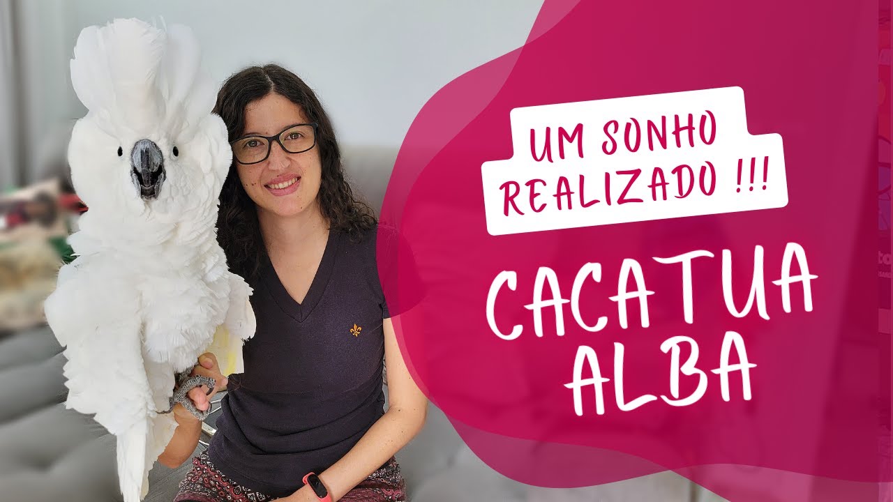 CACATUA ALBA | CONHEÇAM O NOVO INTEGRANTE DA FAMÍLIA - UDP