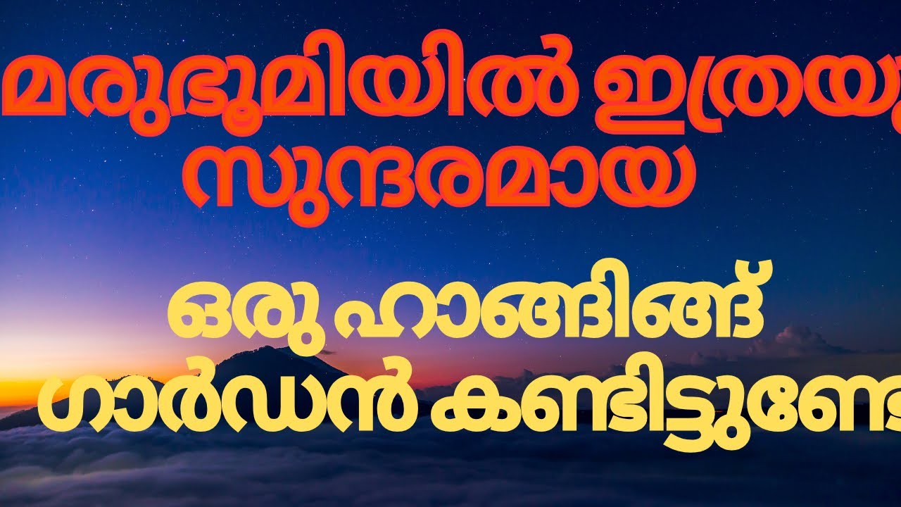 ഖൽബയിലെ വിസ്മയമായ ഹാങ്ങിങ്ങ് ഗാർഡൻ കണ്ടാൽ നിങ്ങൾ ഞെട്ടും | HANGING GARDEN | NIJIS WORLD | SHARJA |