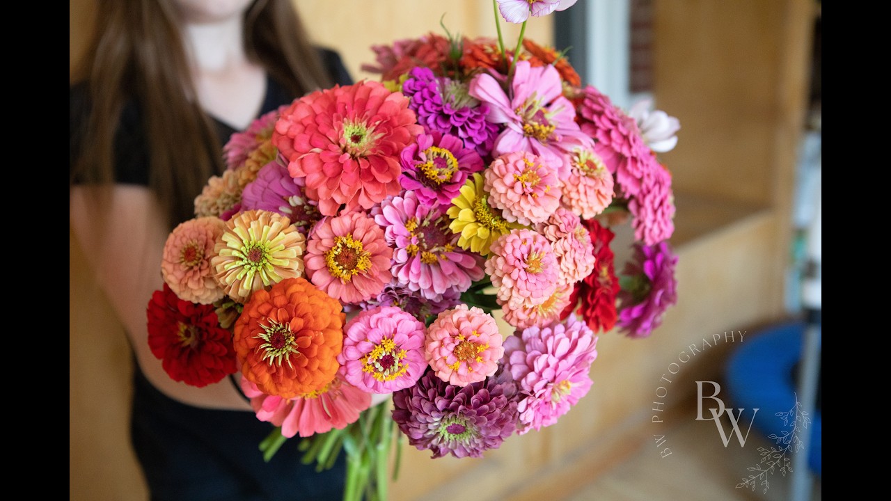 Zinnia Love