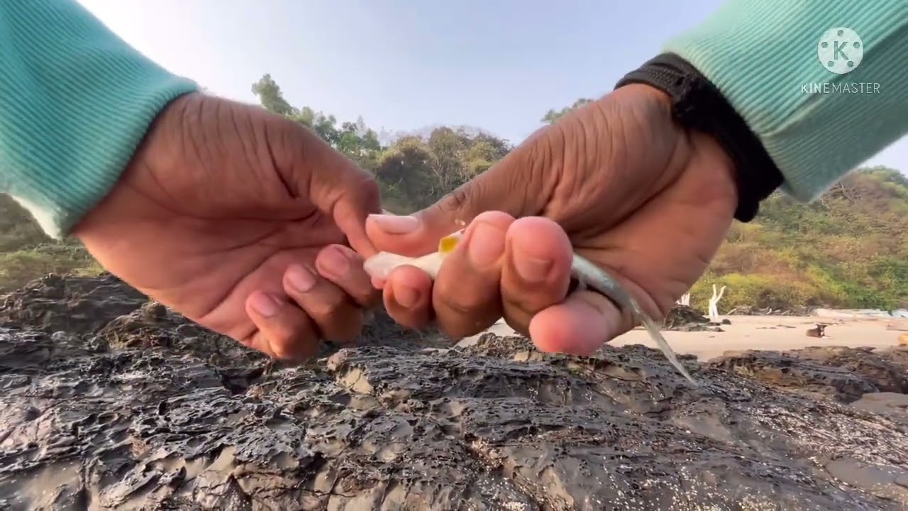 Fishing for small fishes in chapora Goa
