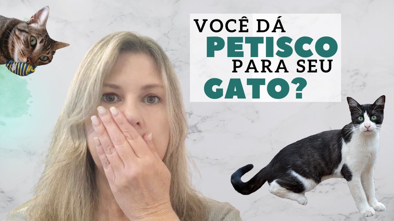 PETISCO FAZ MAL PARA GATOS? - saiba quando dar petiscos para seu gato sem prejudicar a saúde dele!