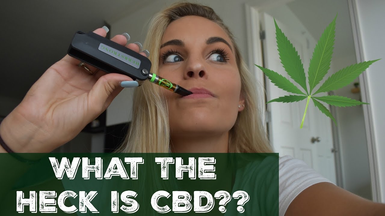 What The Heck Is CBD?? Everything You Need To Know!