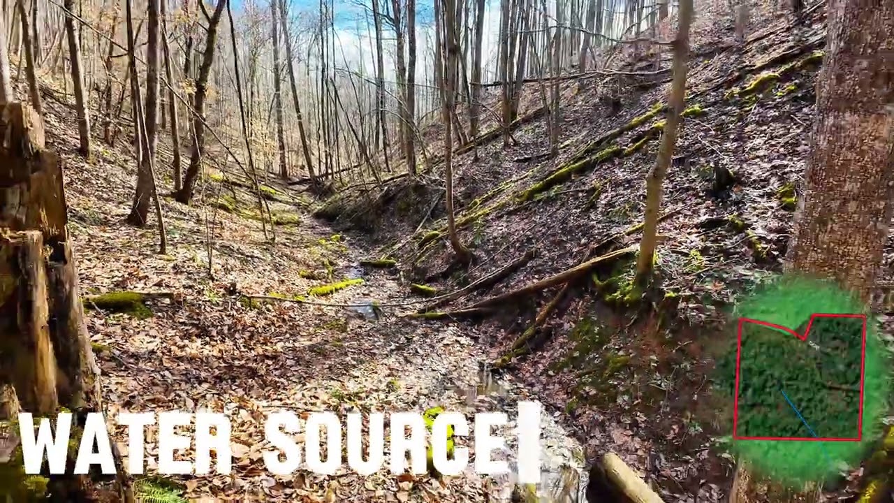 37 Acres Bordering Wayne National Forest | Ohio Hunting Land | MINERAL RIGHTS TRANSFER