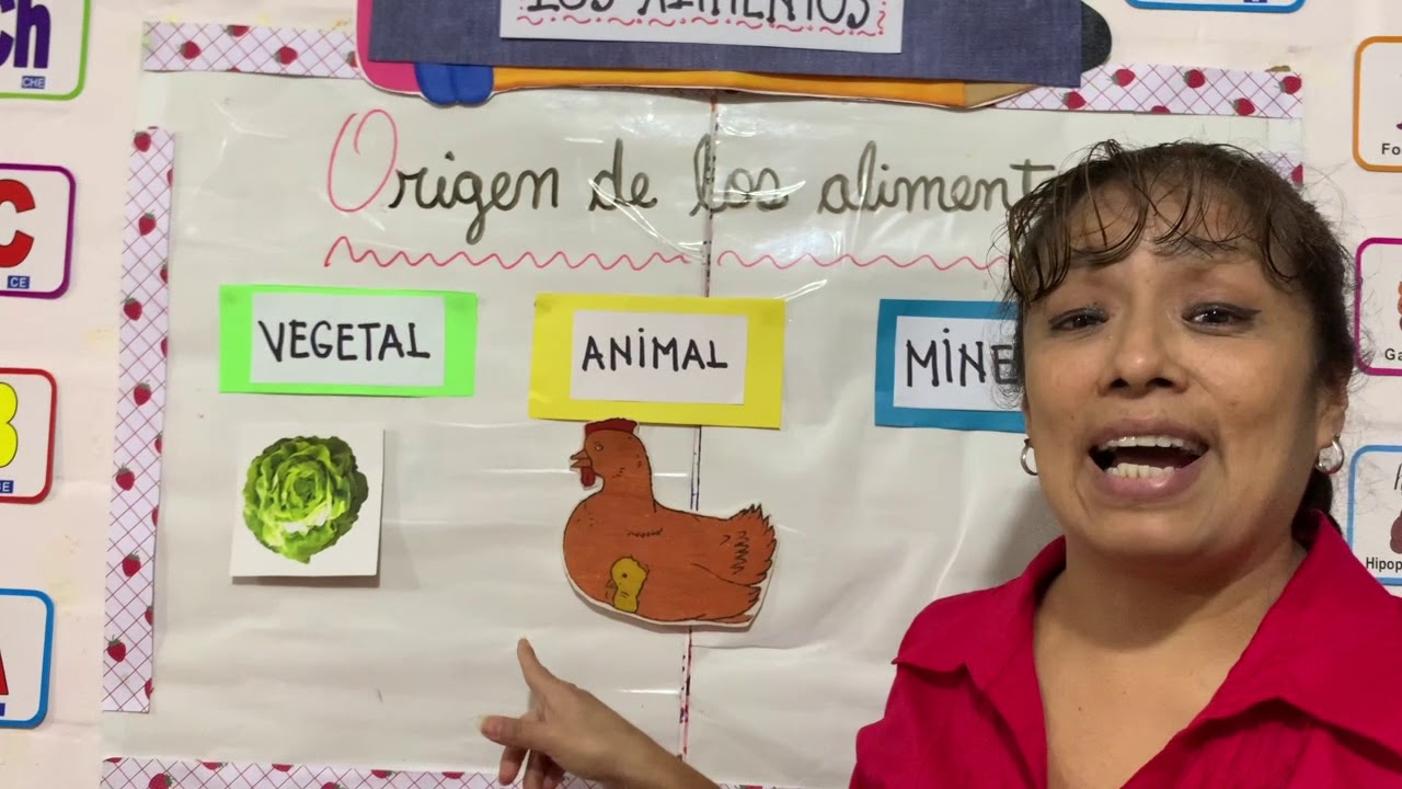 Ciencia y ambiente: Los alimentos para niños de 1er grado