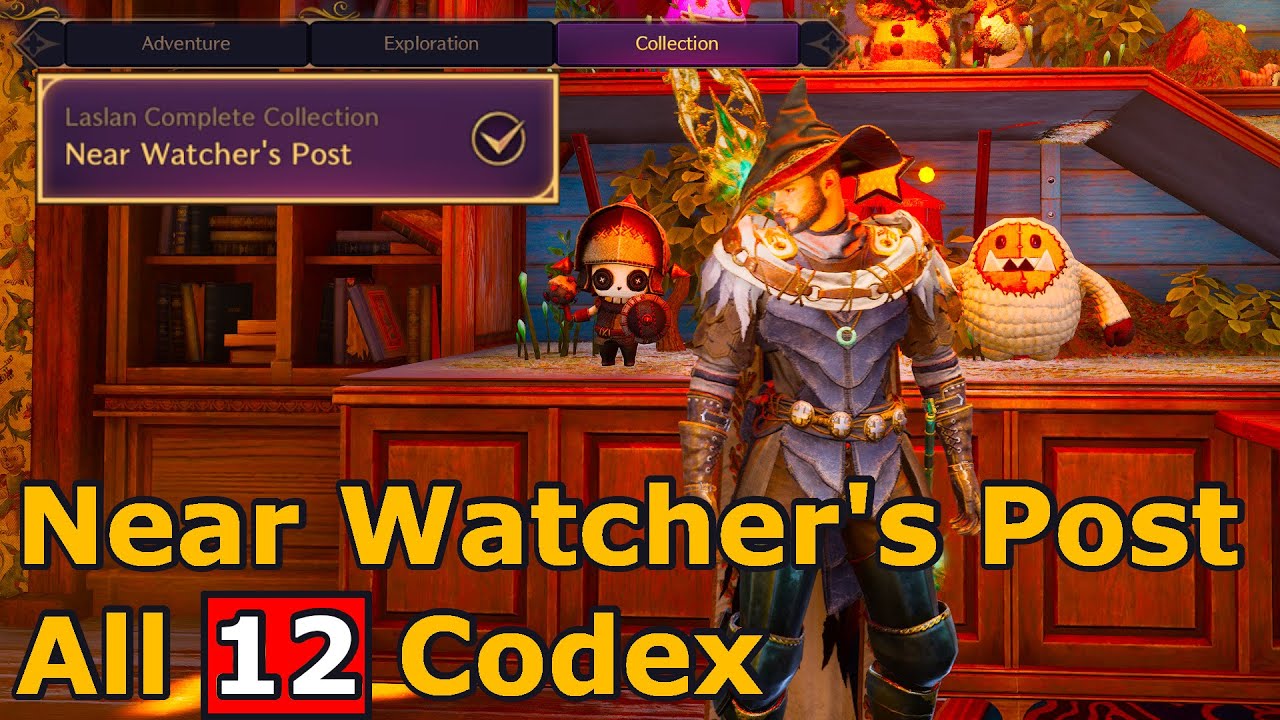 Throne and Liberty Near Watchers Post All 12 Codex