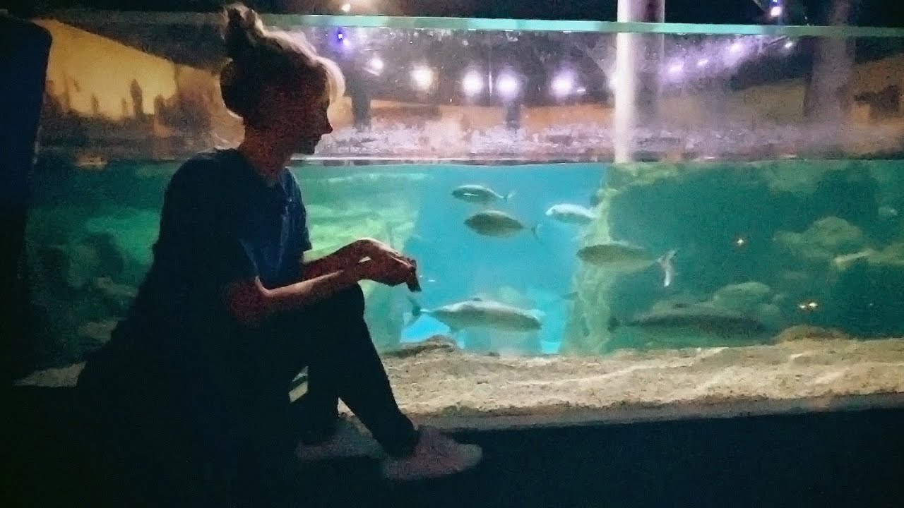 ASMR Istanbul Aquarium Tour (Underwater Exploration)