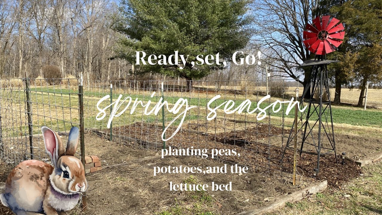 Let the gardening begin! 