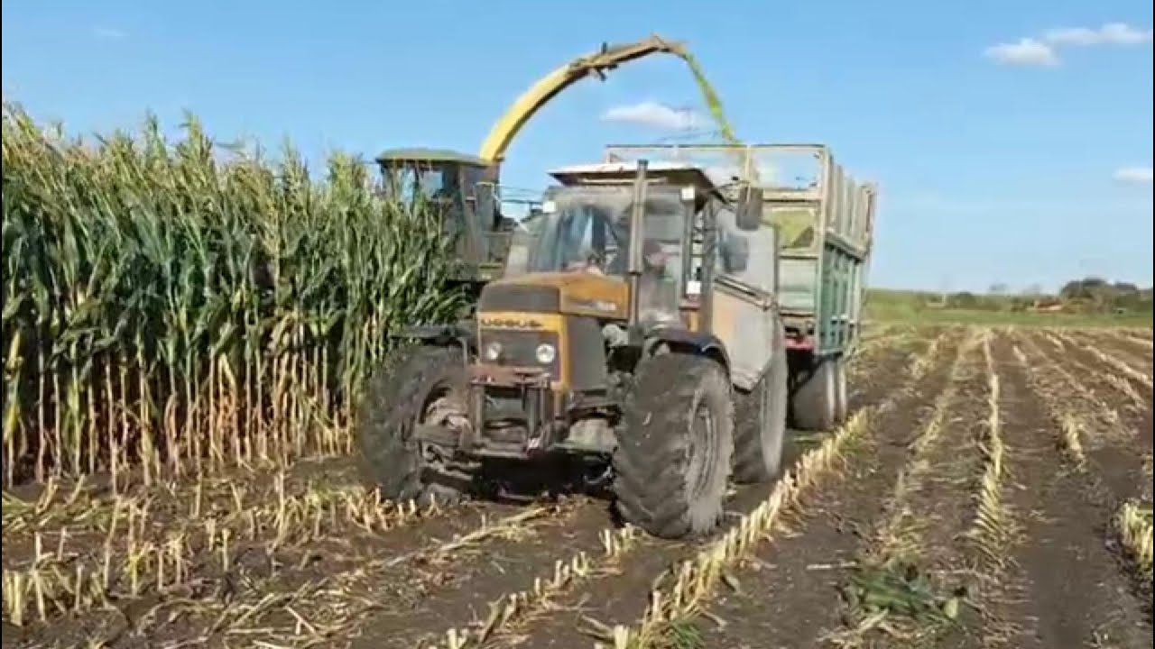 AKCJA kiszonka 2025,ursus 1614 x2 john deere 4x opór 101%