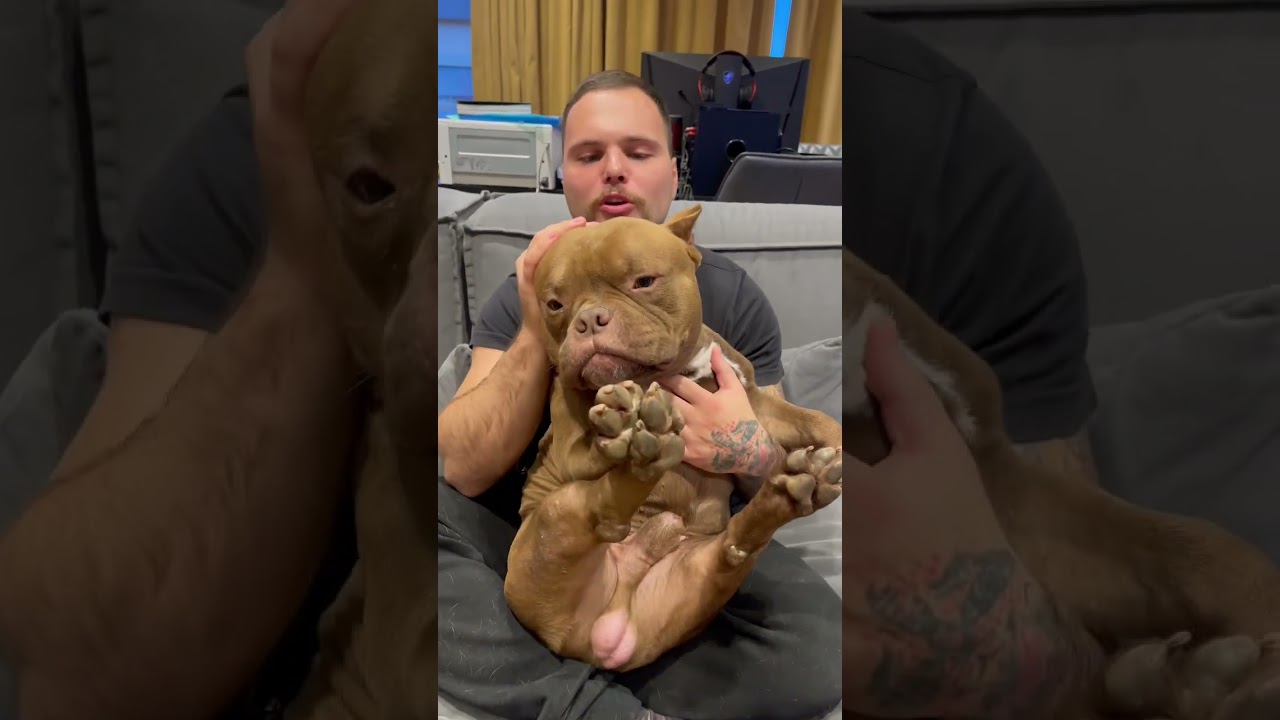 Американский були покет, крови Китай 🔥 🇨🇳 доставка в любу точку мира. За покупкой +79807427894