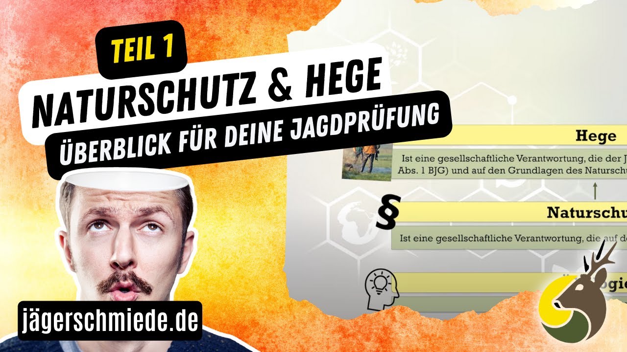&Uuml;berblick: Naturschutz und Hege (Teil 1/2) - die perfekte Vorbereitung auf deine Jagdpr&uuml;fung 🦊