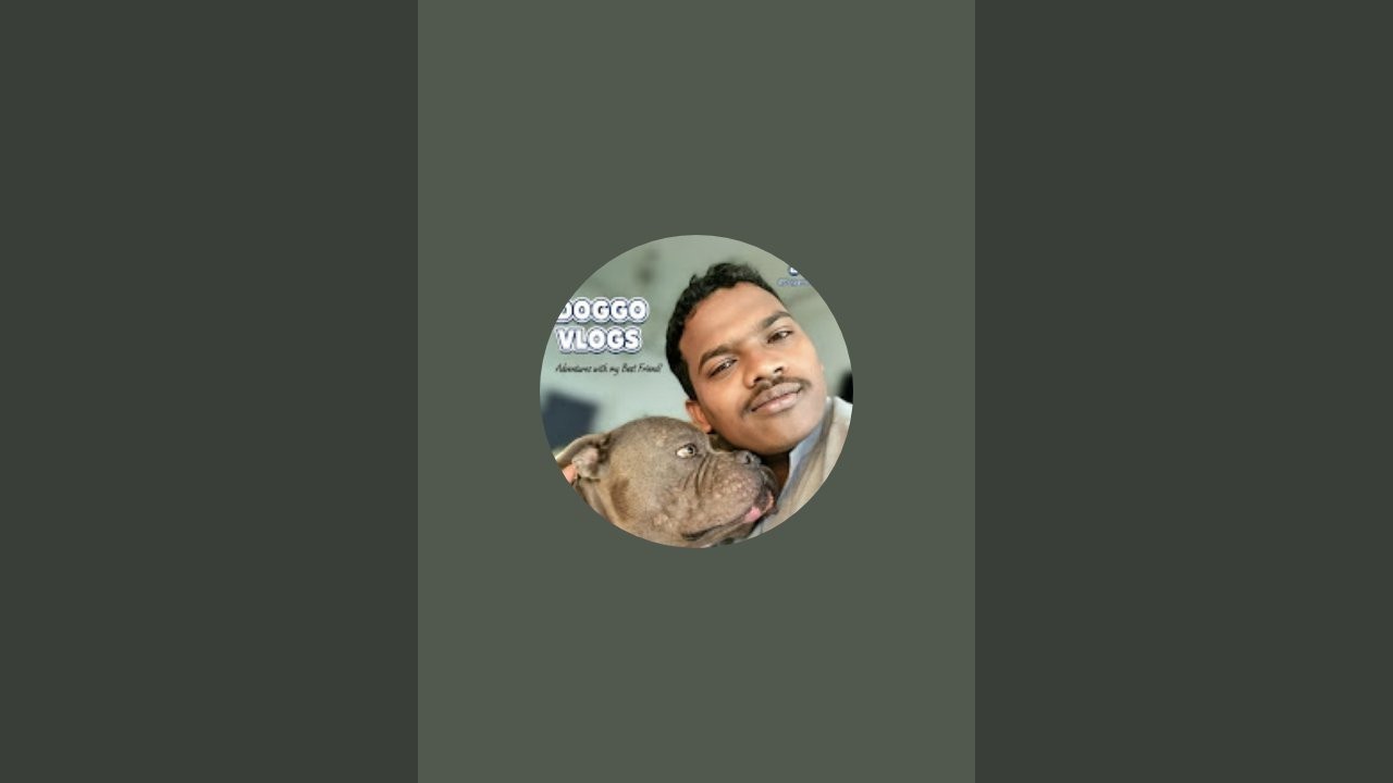 #Kandhamal Nayak blog. KANDHAMAL NAYAK. KANDHAMAL#myanimal #americanbully #mypet 