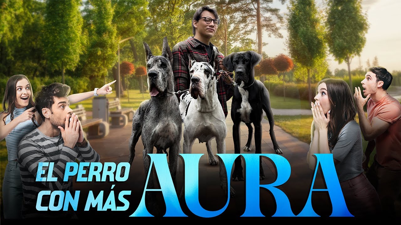 ¡TODO el mundo nos MIRABA!..paseando con una manada de GRAN DANÉS