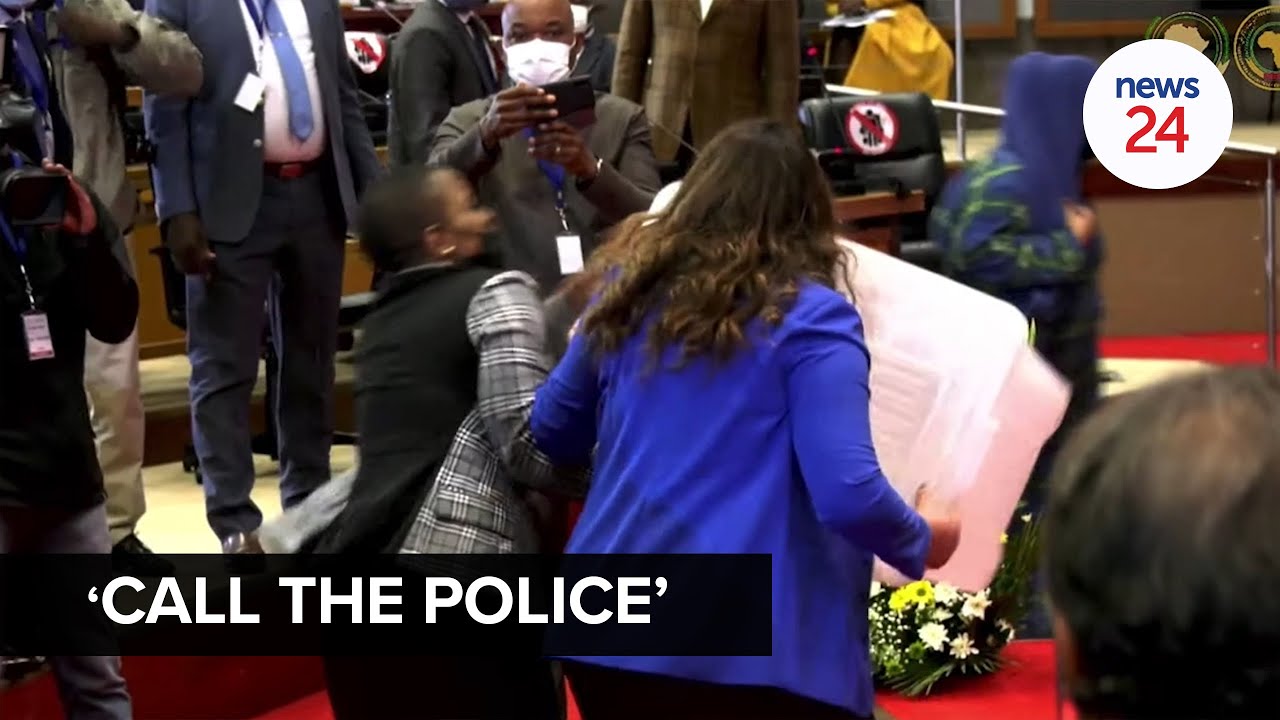 WATCH | Pan-African Parliament erupts into chaos ... again
