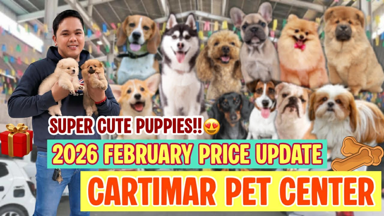 FEBRUARY 2026  UPDATED CARTIMAR PET PRICELIST + GIVEAWAY! CUTE & PURE BREED PUPPIES *MUST WATCH*