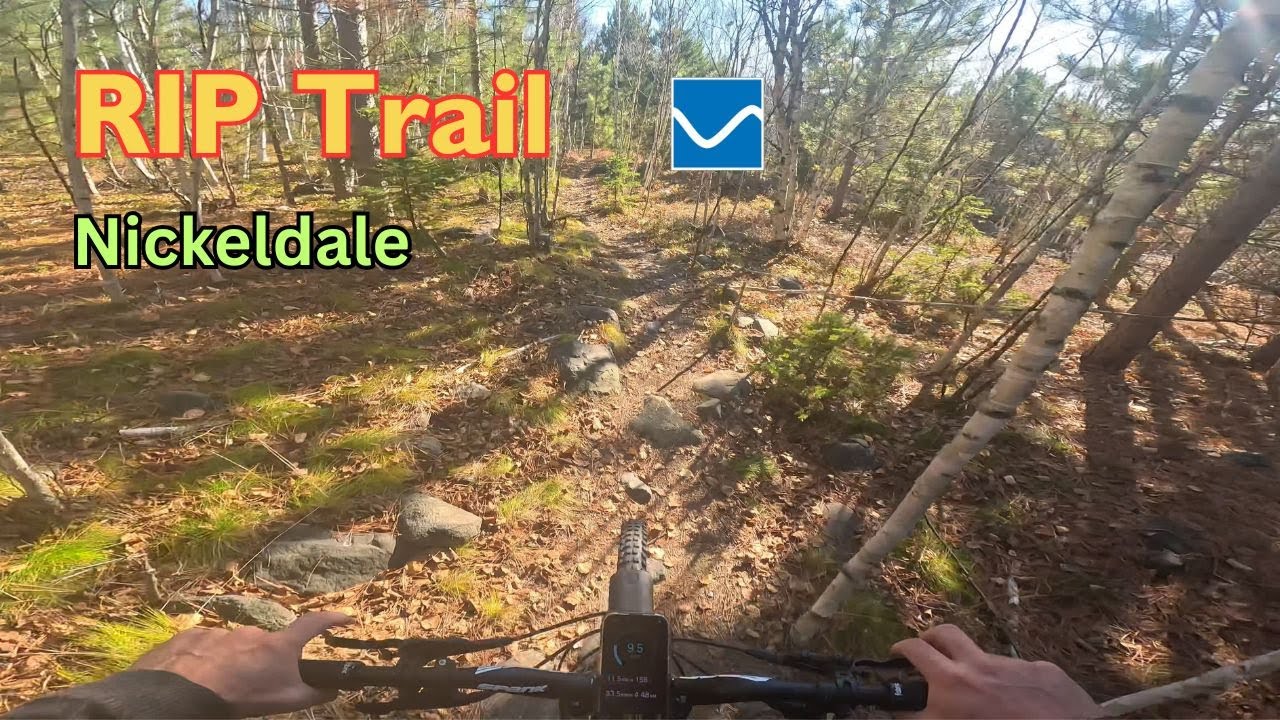 RIP Trail - Intermediate narrow single track