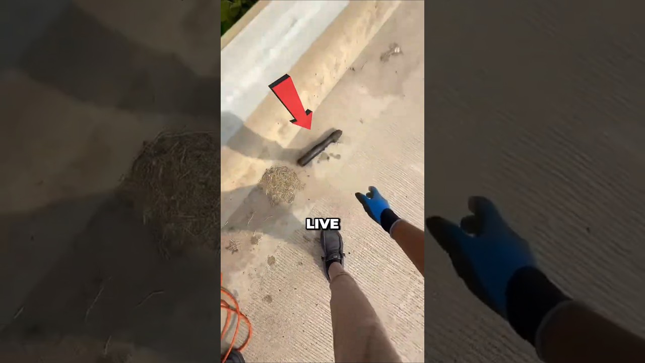 Он вернулся к реке Бомб... и это обернулось катастрофой! 🌊😱