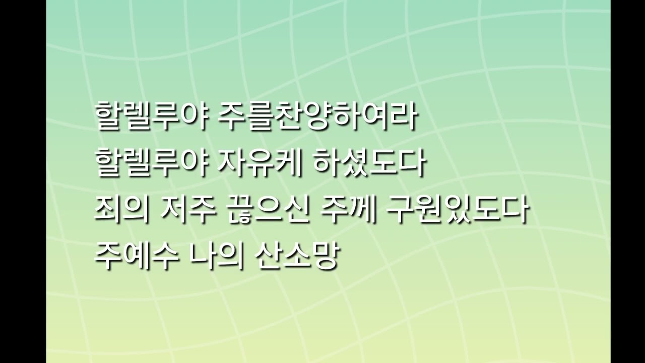 주 예수 나의 산 소망(Living Hope)울진중앙교회26년3월15일특송
