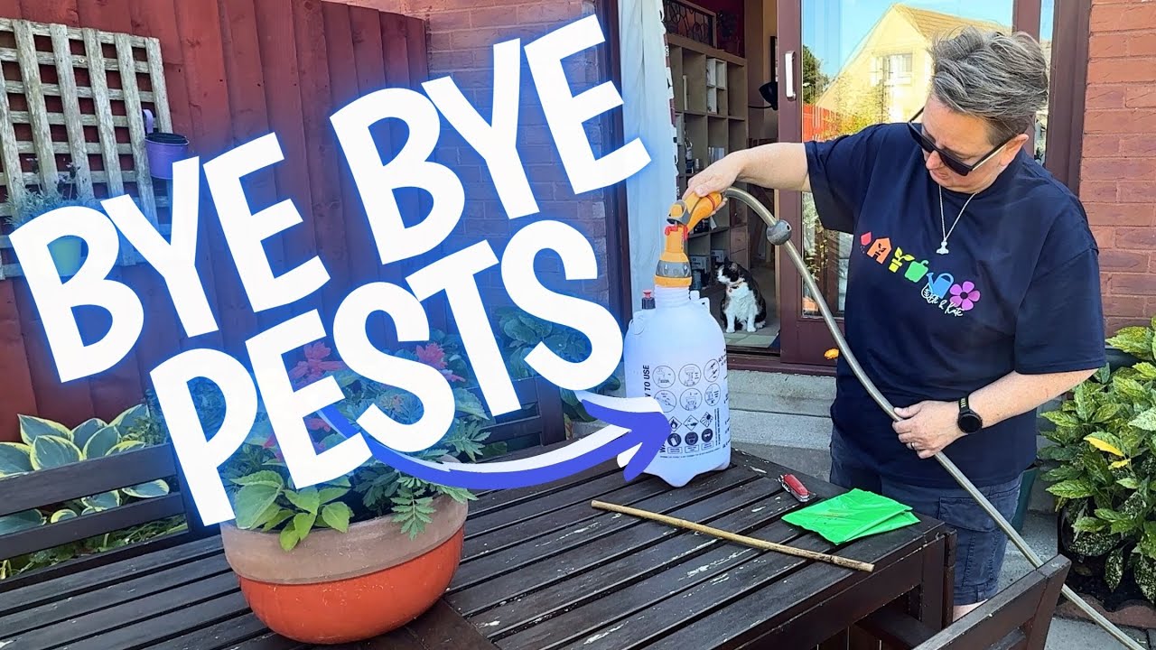 Getting rid of vine weevil, flea beetle, slugs and more