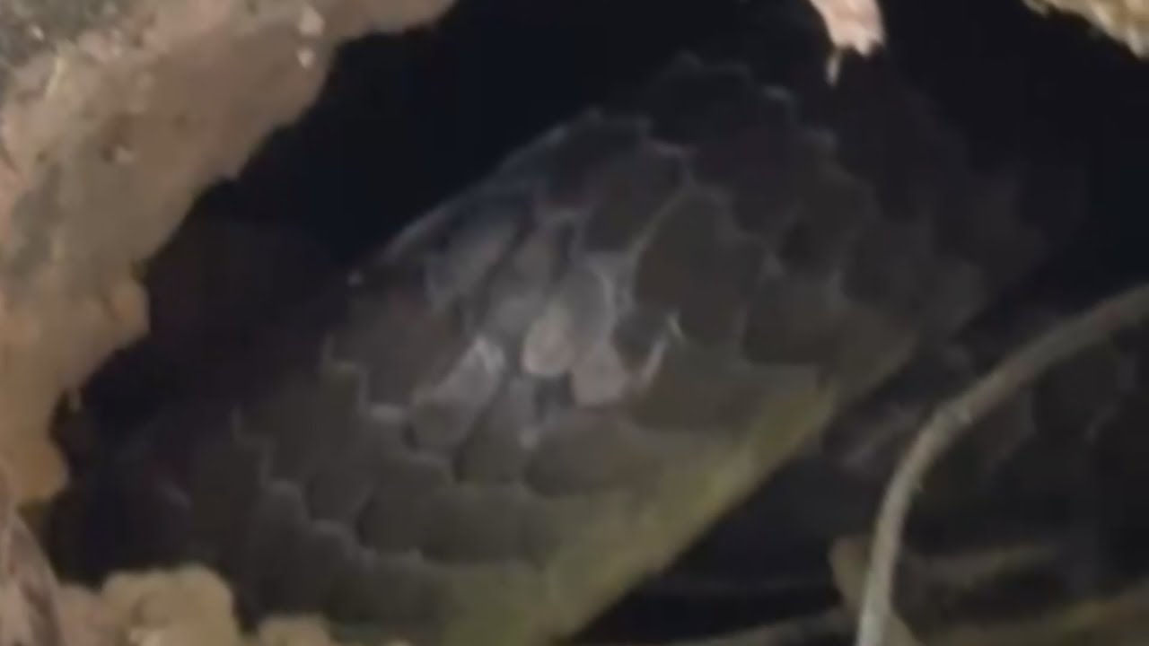 DEU MEDO MAS FICAMOS MESMO ASSIM  Canal Saalada