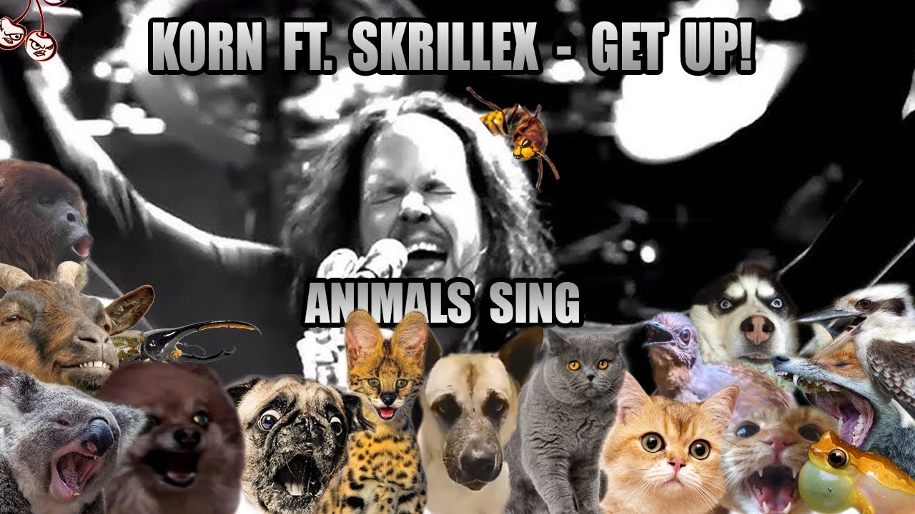 Korn feat. Skrillex - Get Up! (Animal Cover)