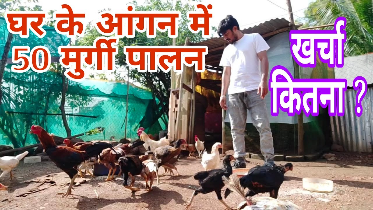 murgi palan in home 🐓 desi jugad poultry farm