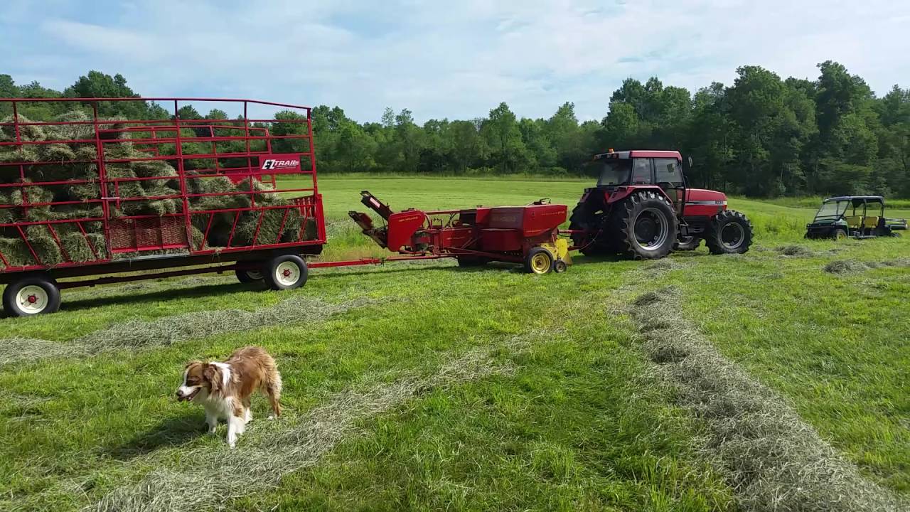 Hay Baling with our New Holland 276 and Case IH 5230