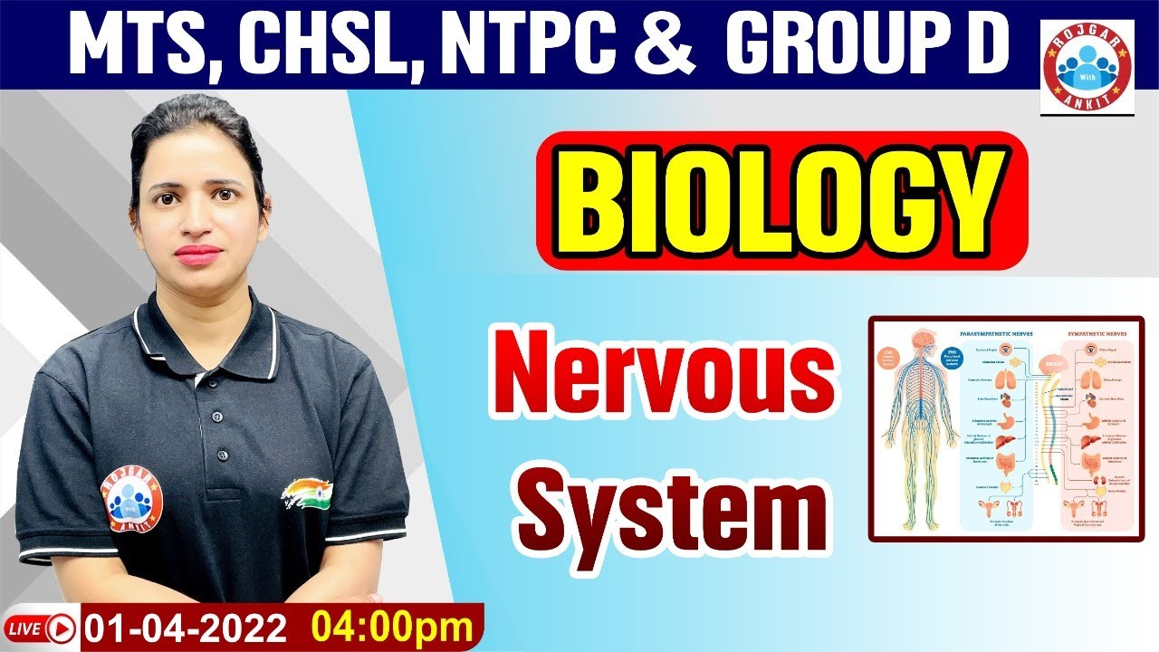 Nervous System | तंत्रिका प्रणाली | Biology For Group D/CHSL/MTS/NTPC | Science By Bhawna Mam