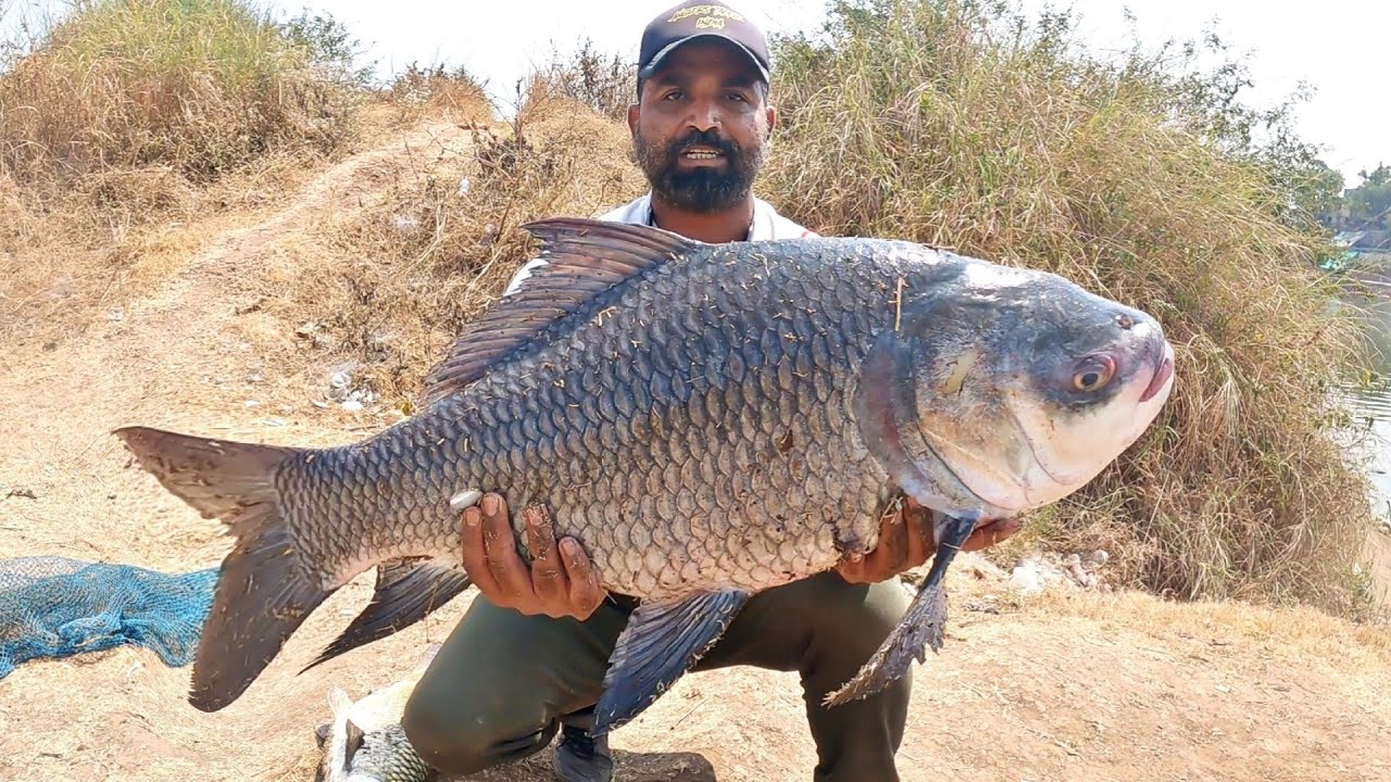 रमजान में ईफतारी का तोहफा, Jadui Chare Pe Katla, Mirgal Fishing, Feddar Popup Fishing