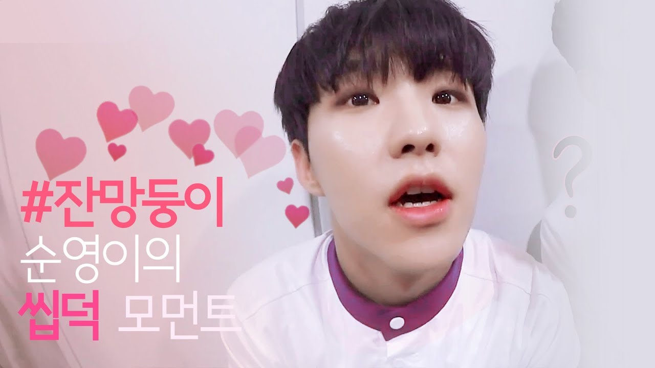 [세븐틴/호시] 