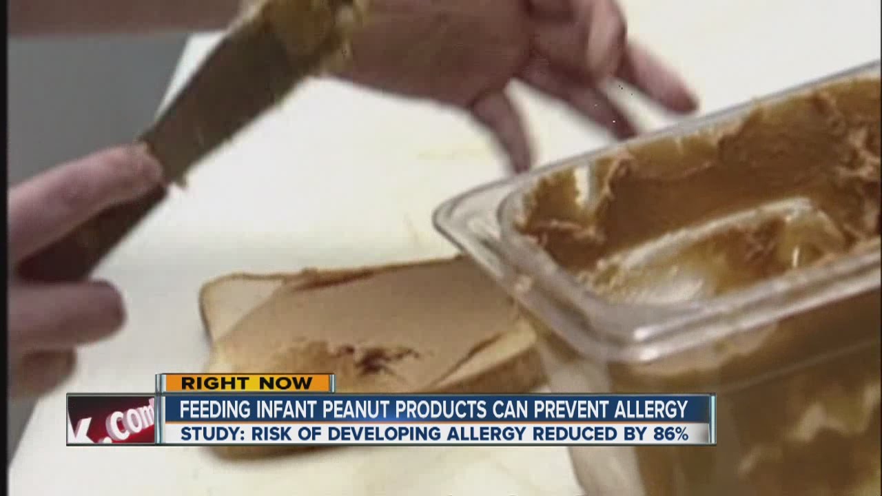 Feeding infants peanut products can prevent peanut allergy