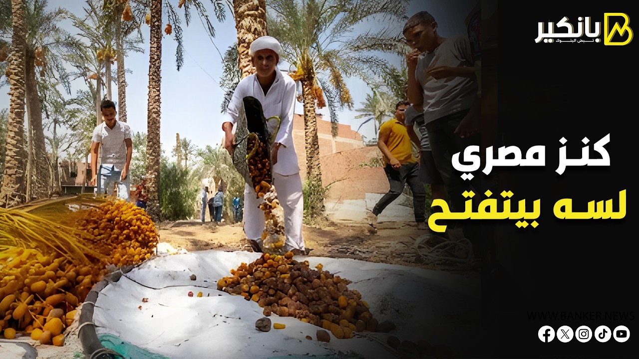 مصر تتربع على عرش التمور بـ 2 مليون طن.. ملامح خطة الدولة لتحويل الإنتاج لعملة صعبة
