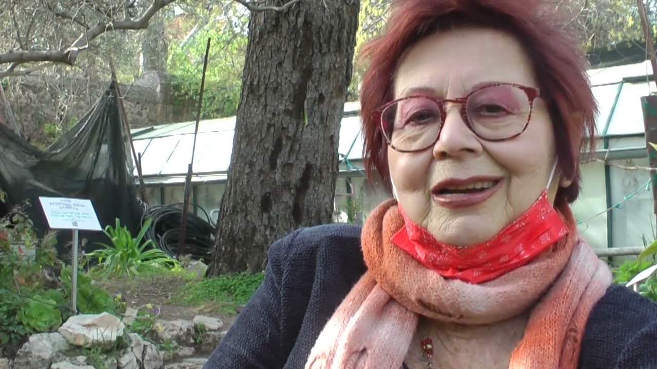 דינה בגינה