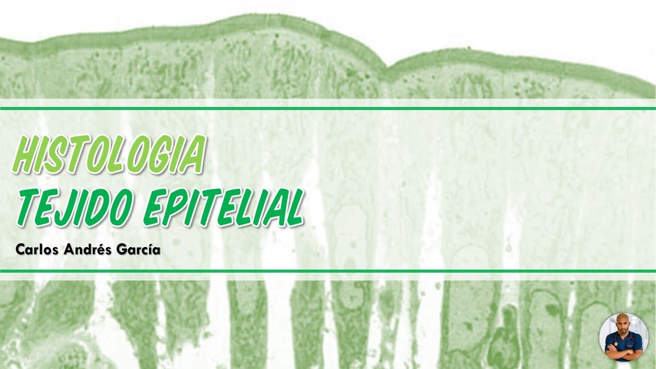 Histología - Tejido Epitelial de Revestimiento (Definición, Clasificación, Función, Características)