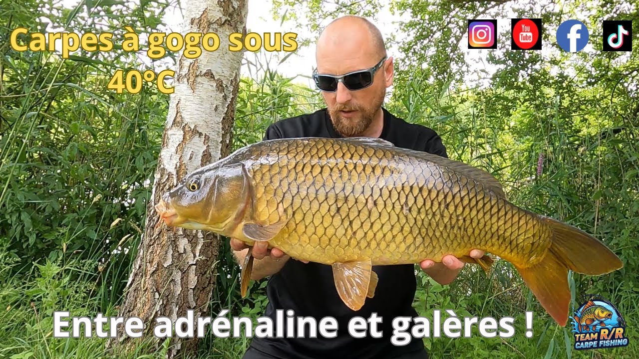 Carpes à gogo sous 40°C : Entre adrénaline et galères !