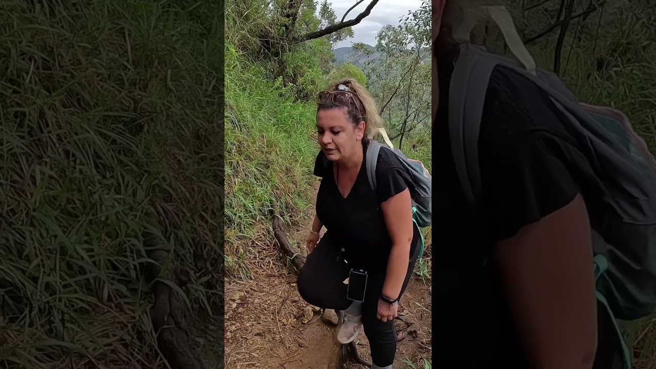 Little Adam&rsquo;s Peak Hike in Ella, Sri Lanka 🇱🇰
