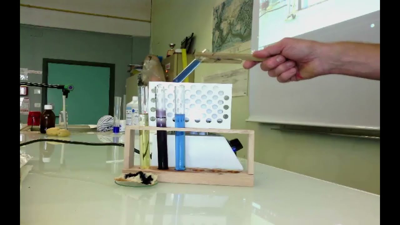 Digestion PresentationDesTests