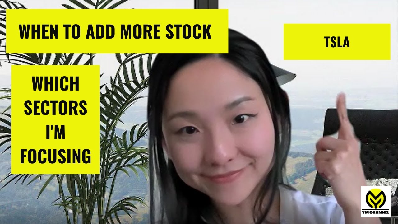 WHEN TO ADD MORE STOCKS?  TSLA WHICH SECTORS IM FOCUSING NEXT?