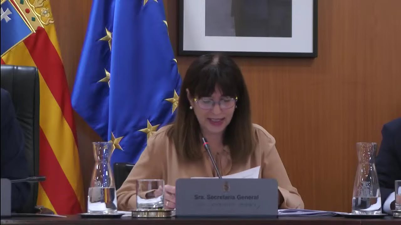 Pleno ordinario. Noviembre 2025