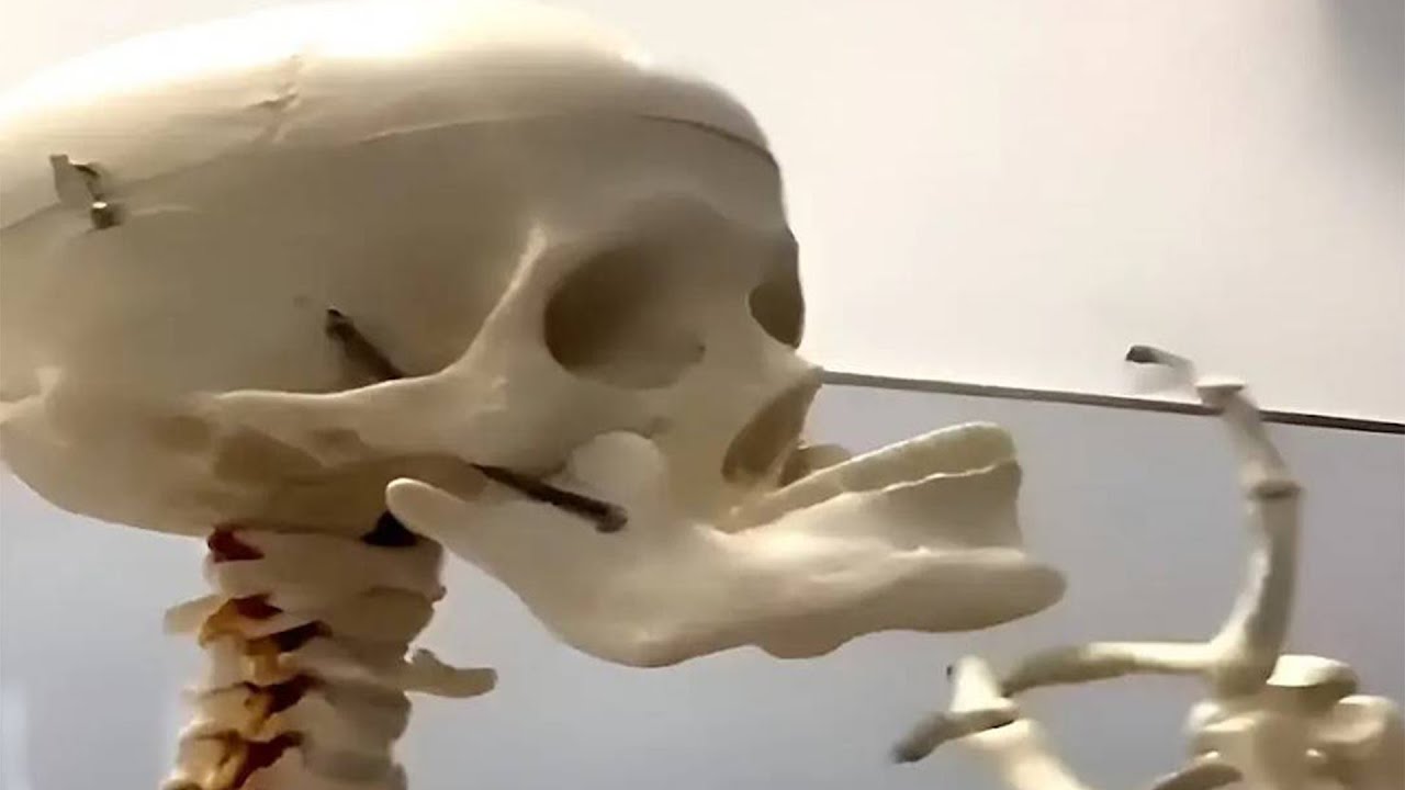 Useless videos part 14