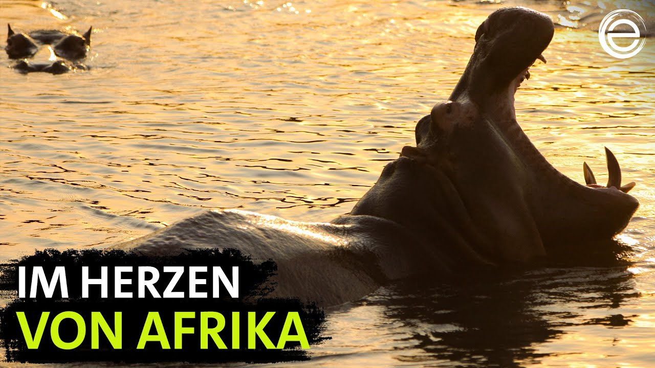 Mythos Kongo – Fluss der Extreme | Erlebnis Erde
