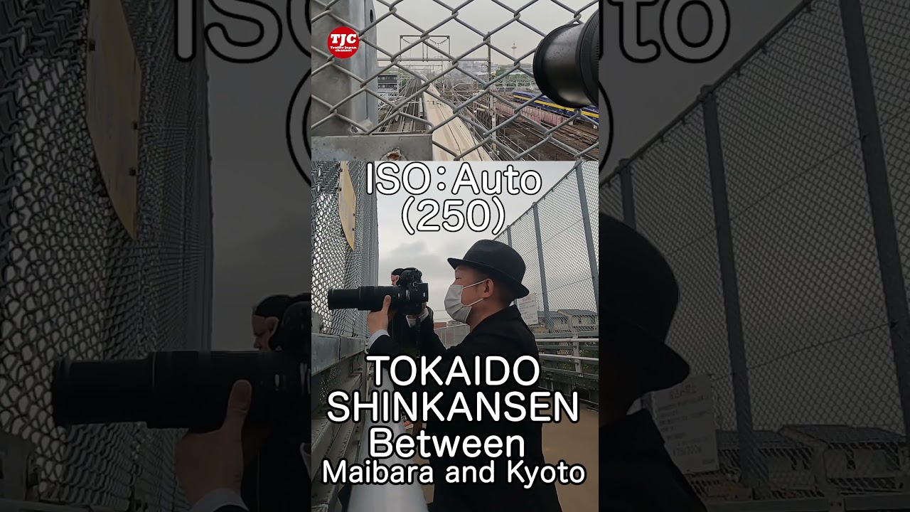 This photo was taken from the overpass in the east of Kyoto Station. 