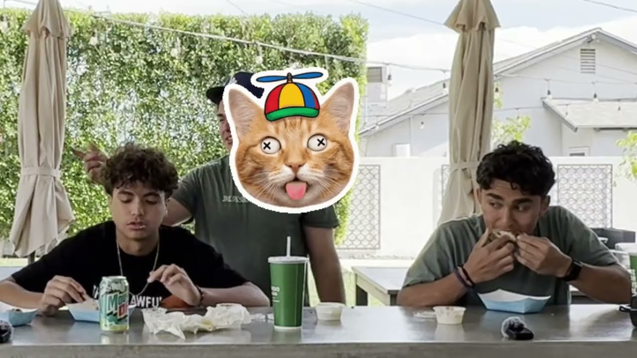 Reviewing wings