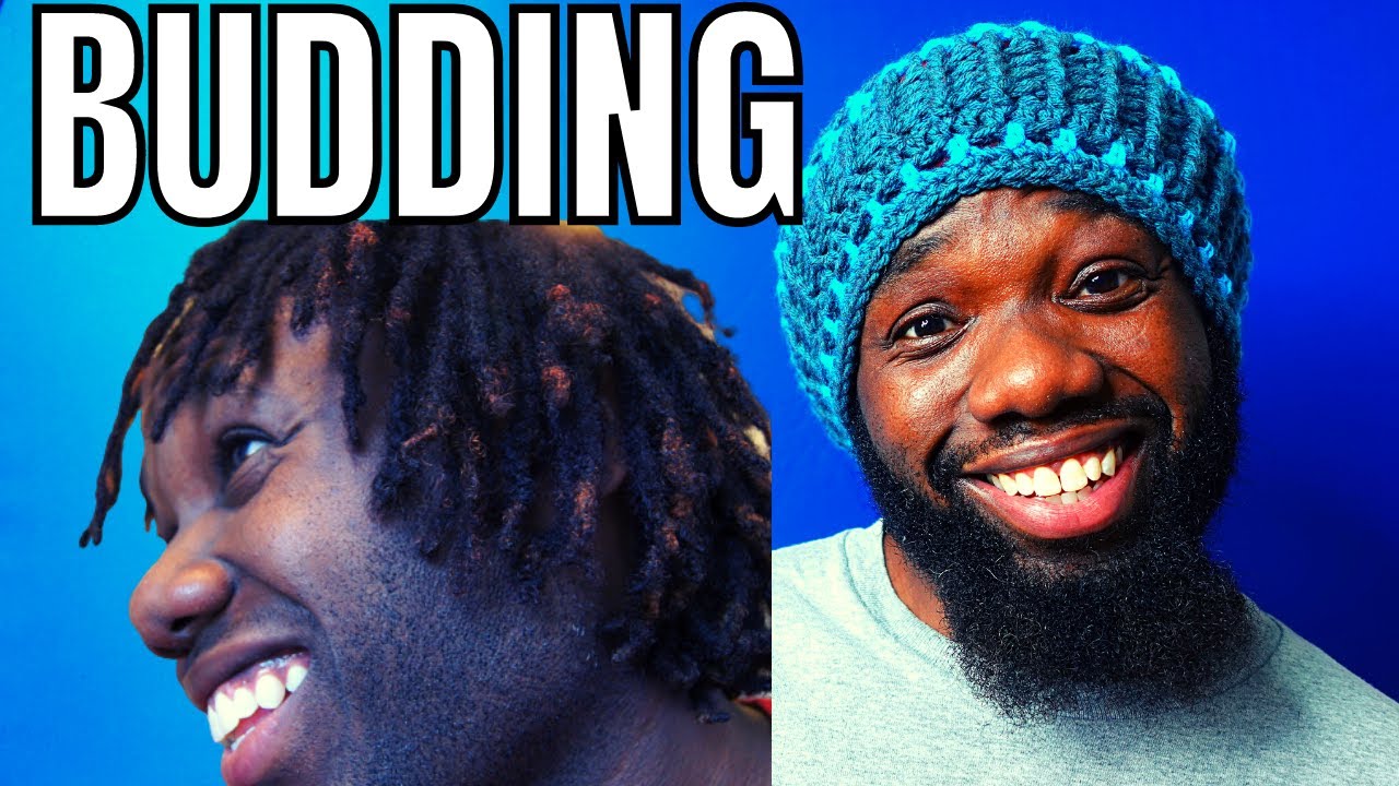 Budding Locs |The SECRET You Should KNOW!