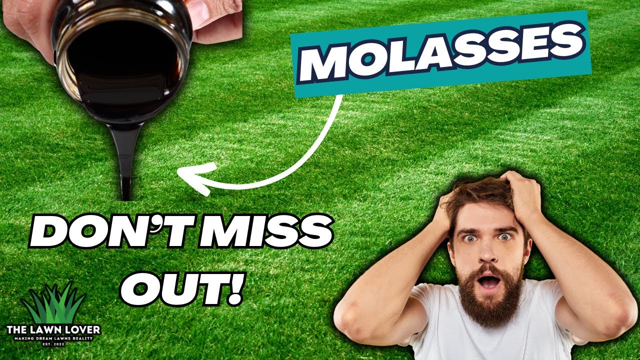 Get Your Lawn Dark Green FAST!