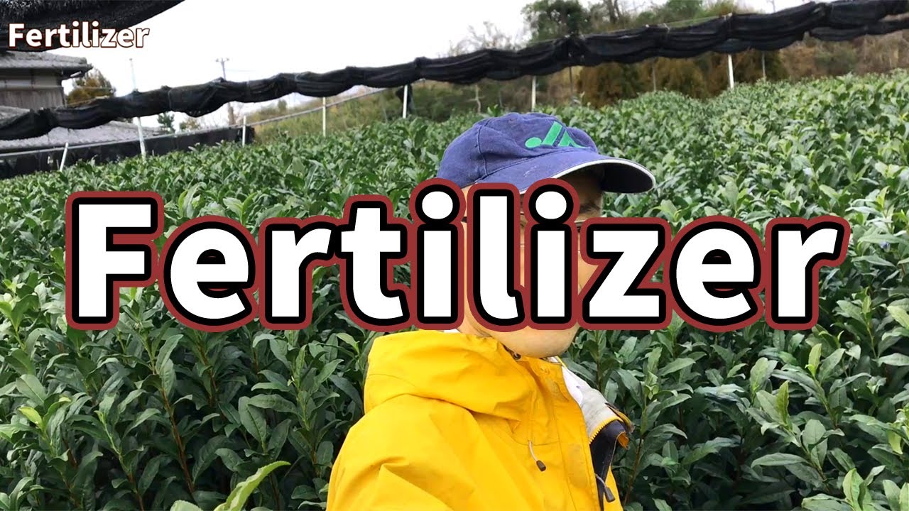 【From Japanese Green Tea Farm】Fertilizer