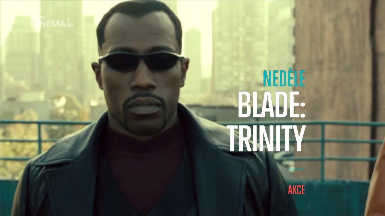 Blade Trinity | Nova Cinema | červen 2021 (česky)